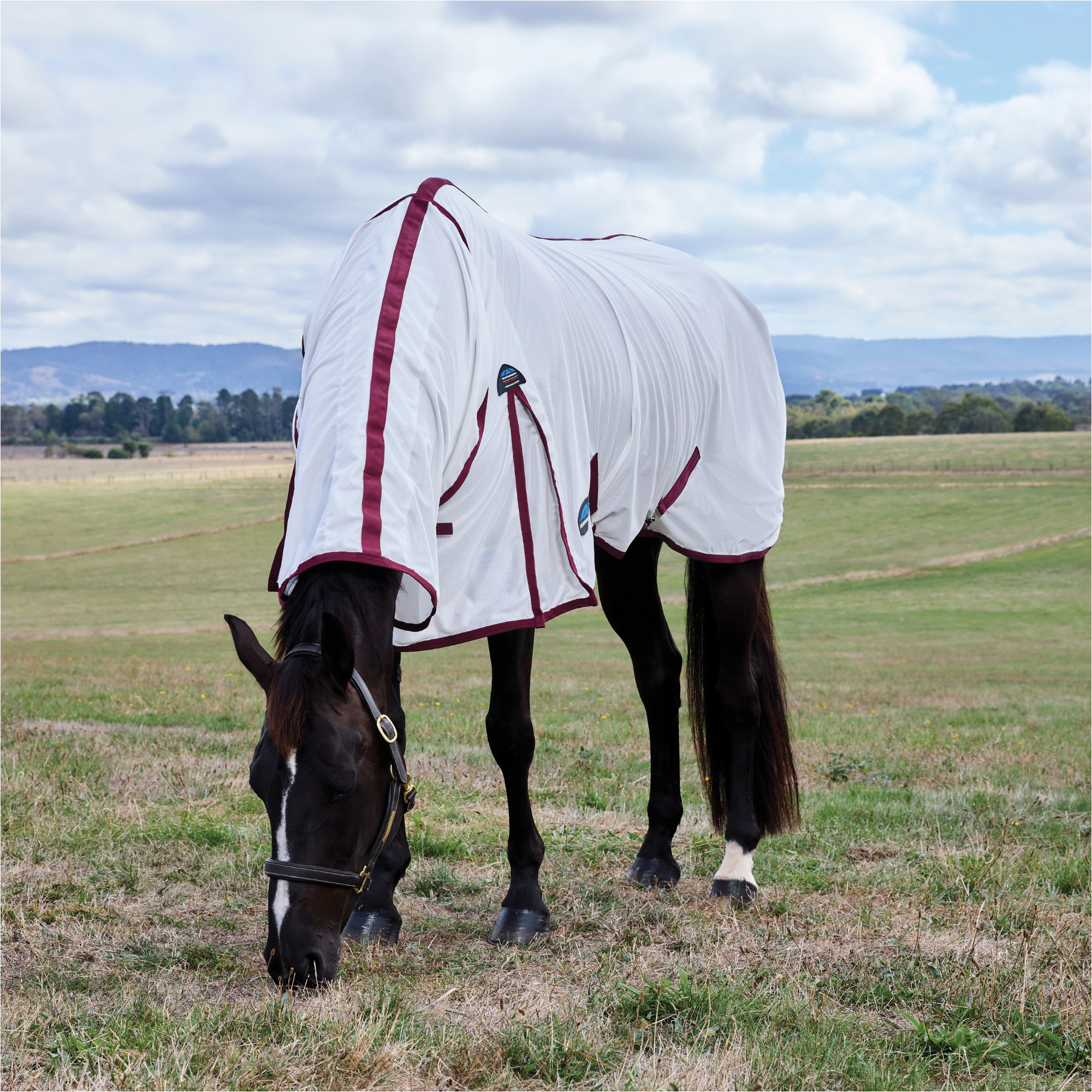 2026 WeatherBeeta Comfitec Essential Combo Fly Sheet 1029542001 - White / Burgunderrot